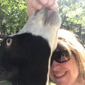 Meet your Posher, Ann-marie